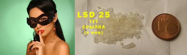 ECSTASY Алзамай