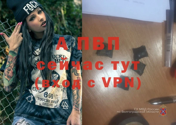 a pvp Алексин