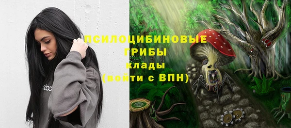спайс Алексеевка